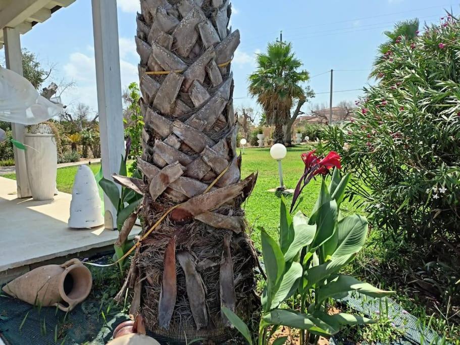 Villa Delle Stelle Con Piscina Leverano Kültér fotó