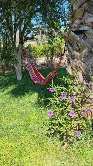Villa Delle Stelle Con Piscina Leverano Kültér fotó